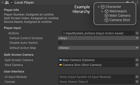 Assigning cameras