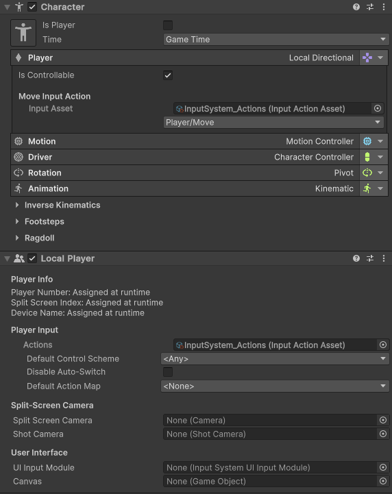Setting up Local Player in Unity